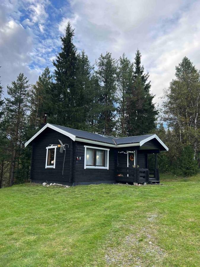 Gemuetliches Blockhaus Im Wald Villa Auktsjaur Eksteriør bilde